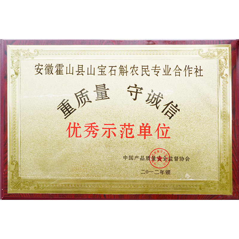榮譽(yù)資質(zhì)