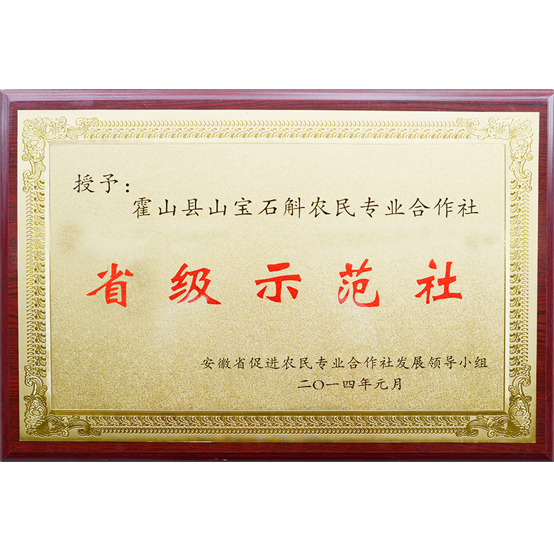 榮譽(yù)資質(zhì)