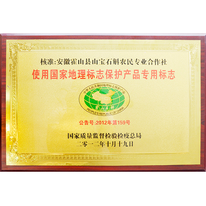 榮譽(yù)資質(zhì)